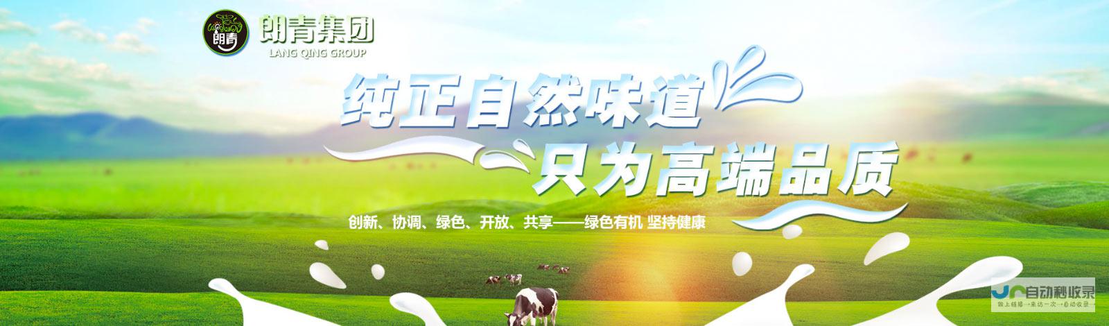 新疆网站推广：提升品牌影响力，拓展市场份额